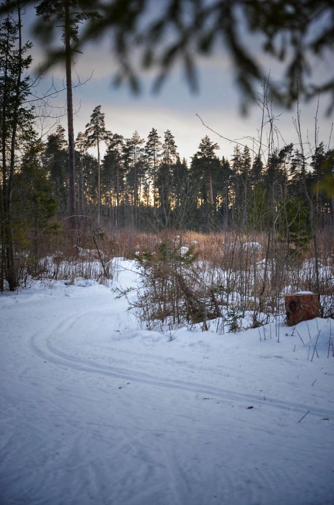 Photograph by Зыкова Мария