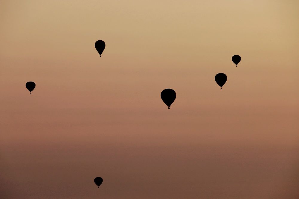 Photograph by Анастасия Свиридова