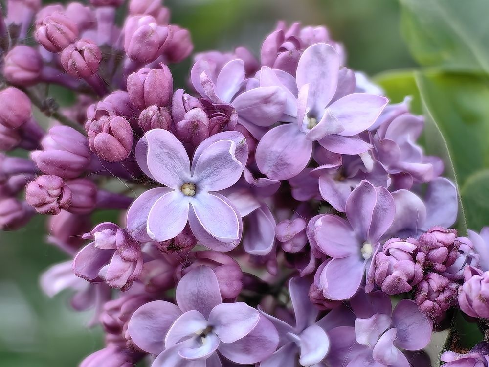 Photograph by Дмитрий Руднов