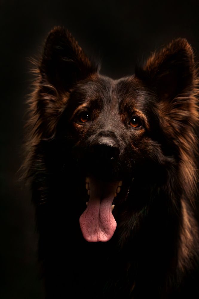 Photograph by Natalya Gracheva