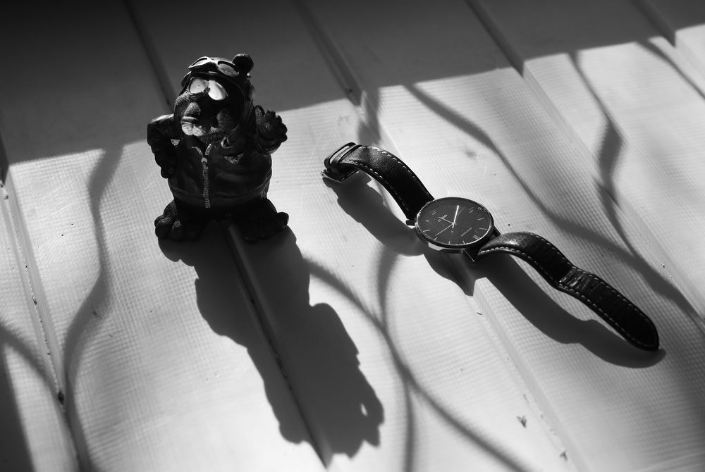 Фотография автора Елена Чурилова