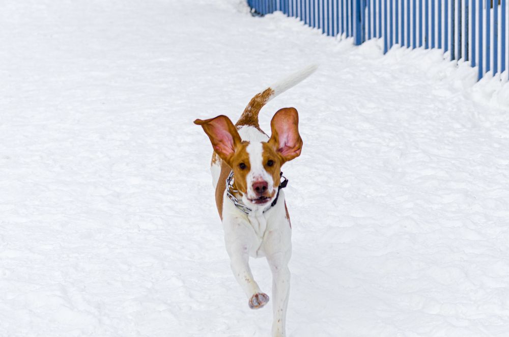 Photograph by Елизавета Лопатина