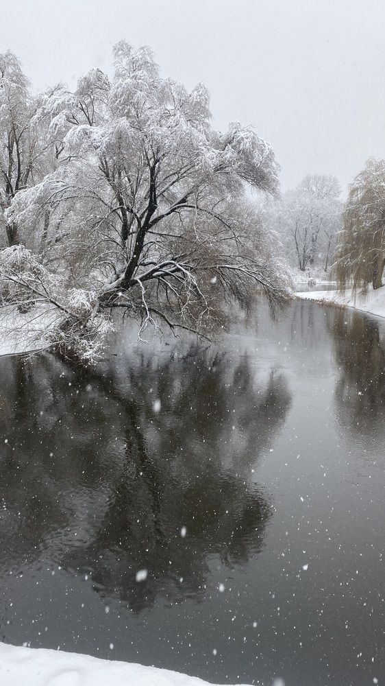 Photograph by Елена Любатова