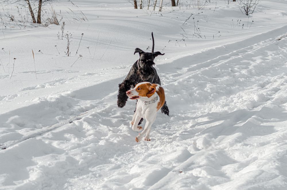 Photograph by Елизавета Лопатина