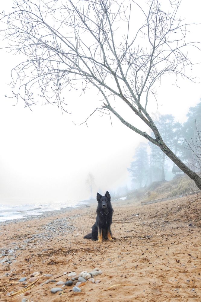 Photograph by Татьяна