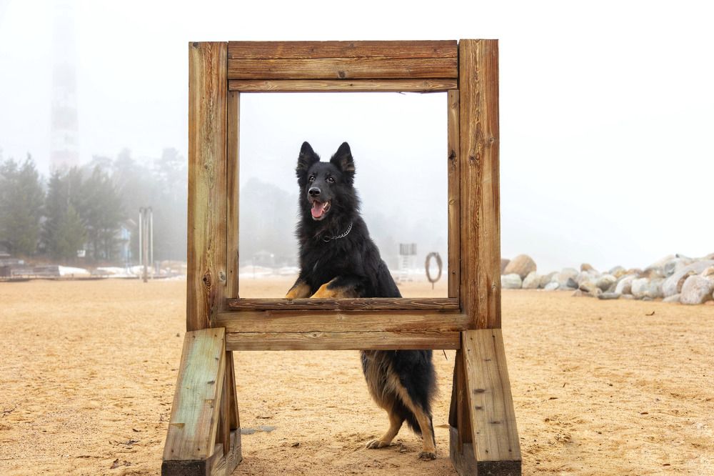 Photograph by Татьяна