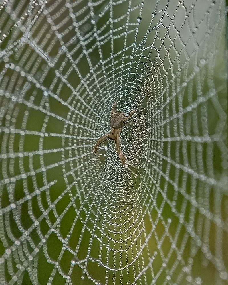 Photograph by Rahul Dey Bittu
