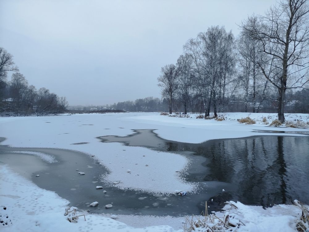 Photo #11752396