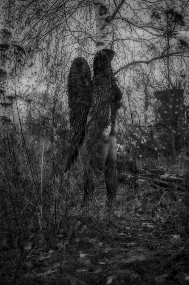 Photograph by Анна Зубко