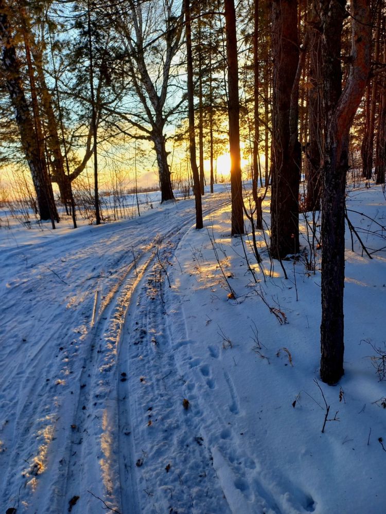 Фотография автора Наталья Крутицких