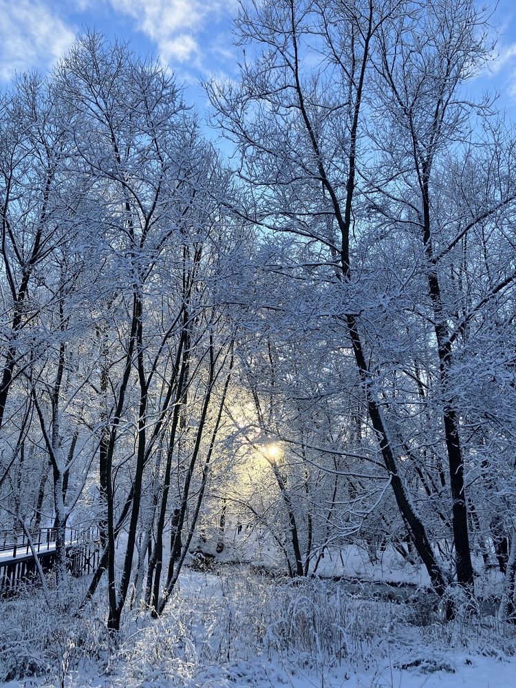 Photo #11752458