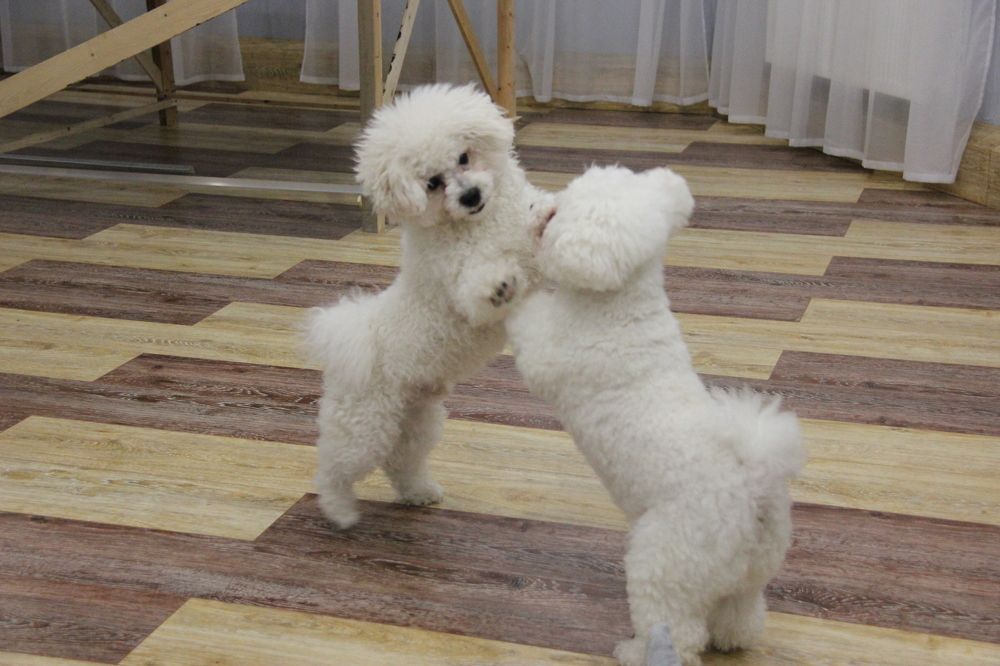 Photograph by Nikita Zorin