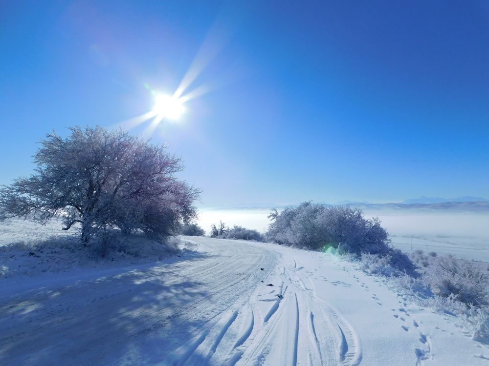 Photograph by Александр Макаров