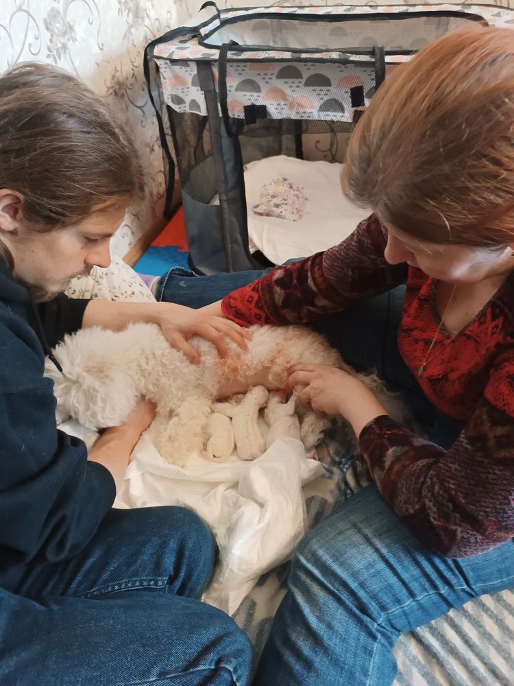 Photograph by Nikita Zorin