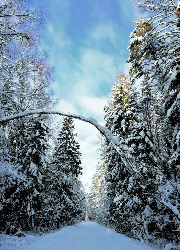 Photograph by Yulia Ocean