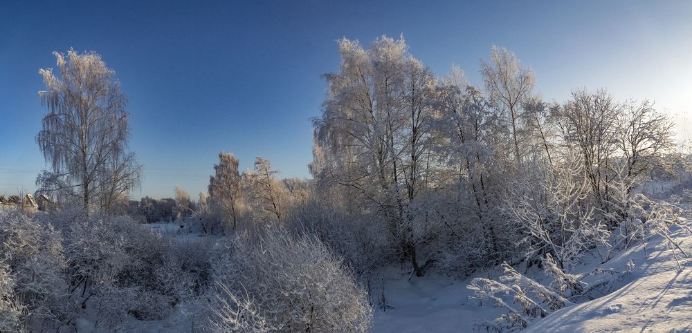 Photograph by Дмитрий Потапов