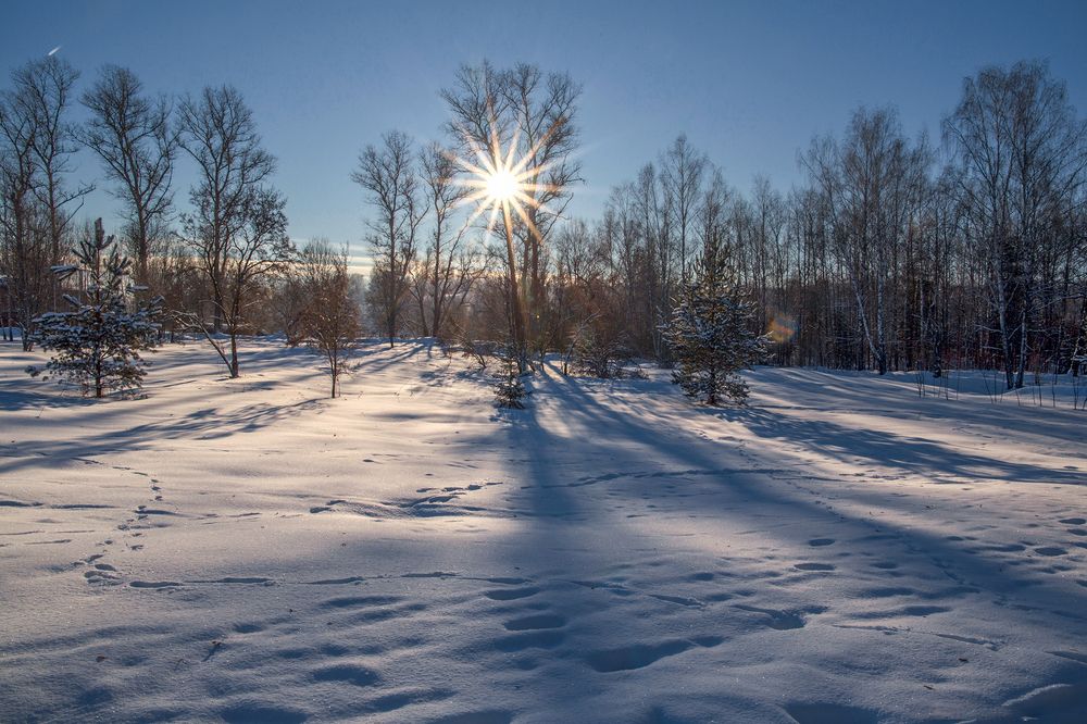 Фотография автора Aleksei Kartashov