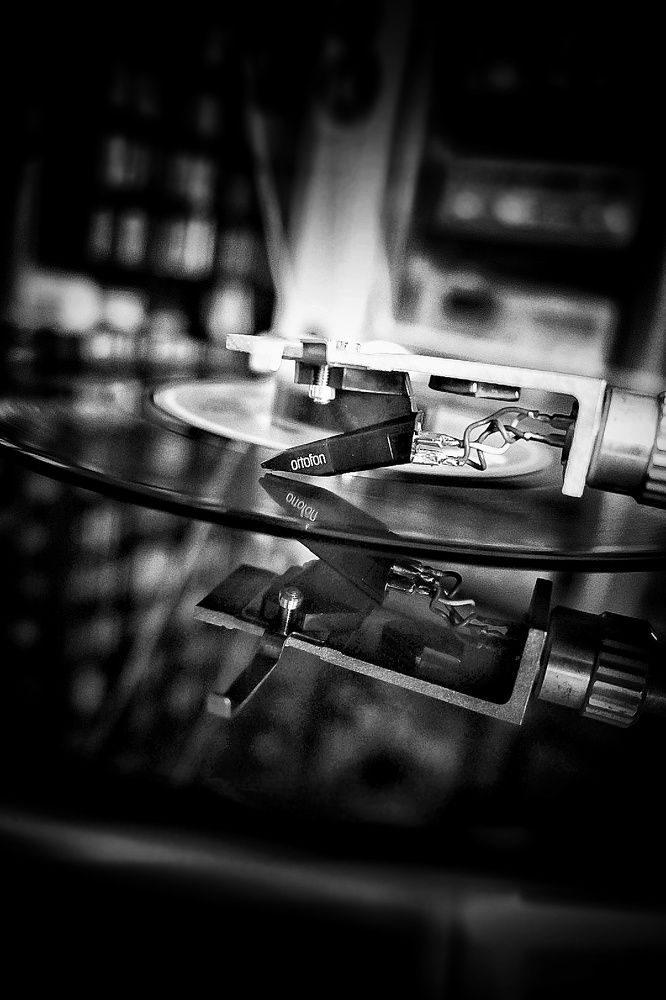 Photograph by Stella