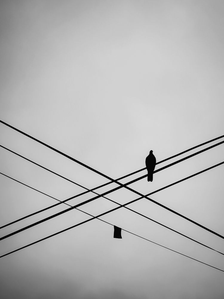 Photograph by WEONBAE PARK