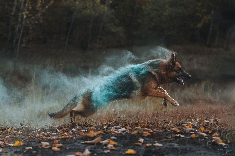 Photograph by Мария Семенова