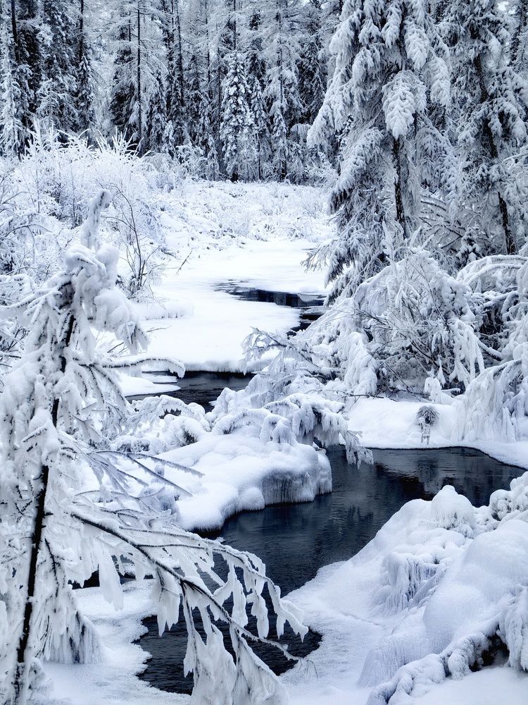 Photograph by OLGA MIKHNEVICH