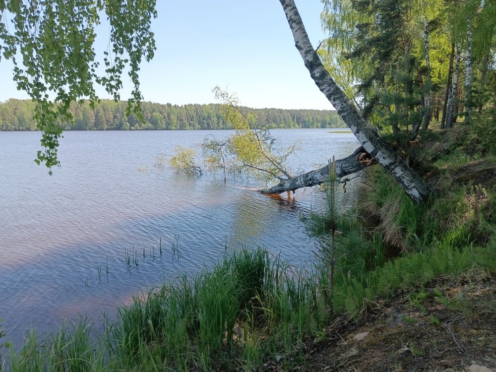 Photograph by Александр Гатилов