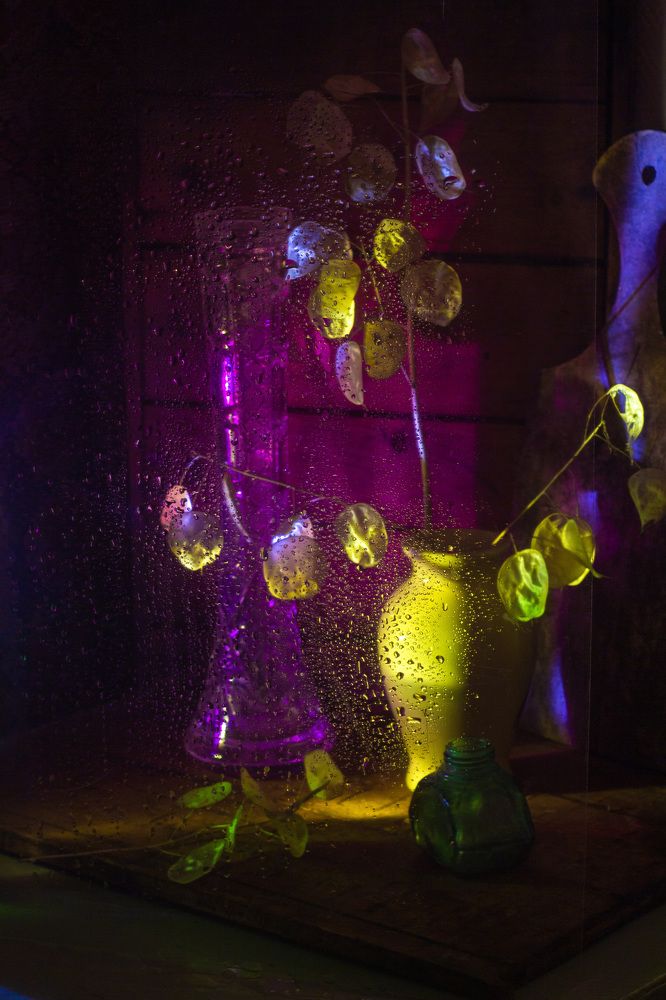 Photograph by Юлия Черкасова