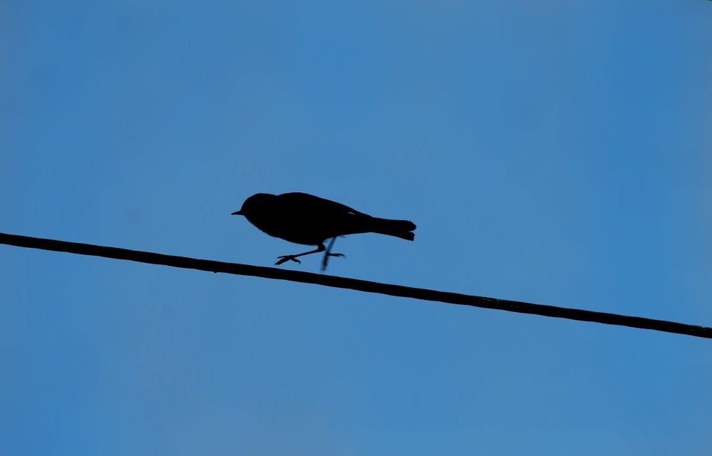 Photograph by Антон Иванов