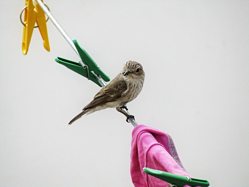 Photograph by Екатерина Салий