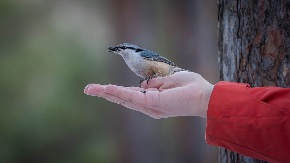 Photograph by Вадим Басов