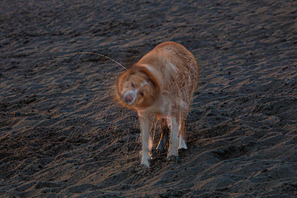 Photograph by Ольга Ильина