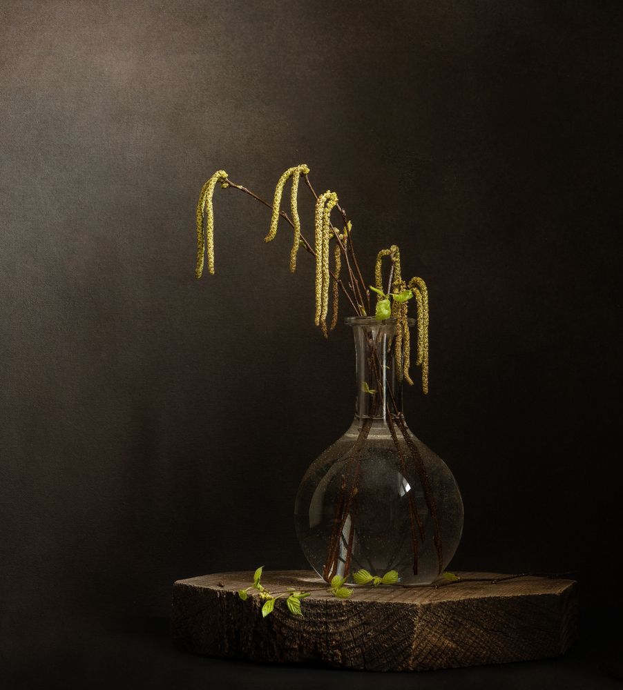 Photograph by Тришина Галина