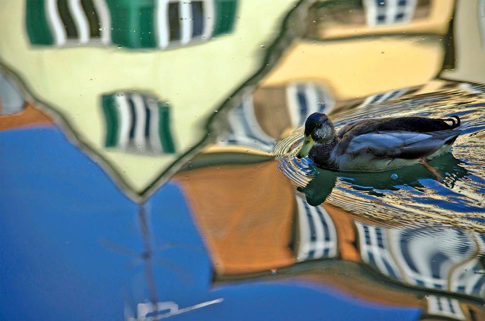 Утка-резинка стирает все рисунки