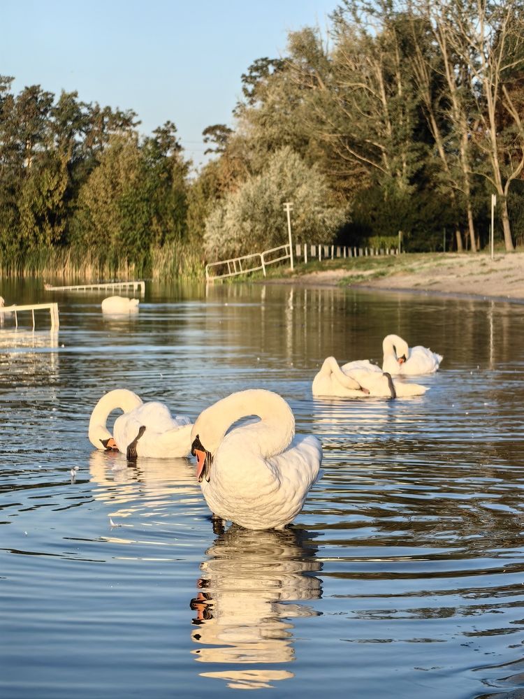 Фотография автора Ольга Панасюк