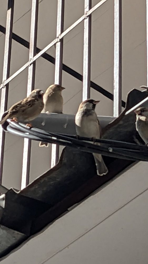 Photograph by Lilit Petrosyan