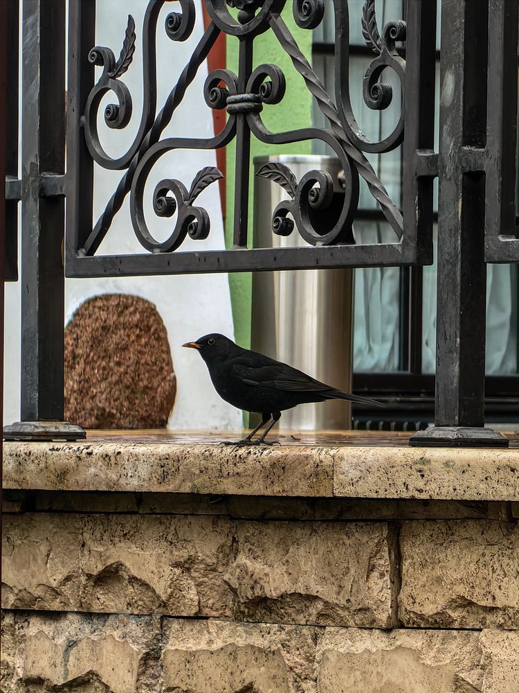 Фотография автора Ольга Панасюк