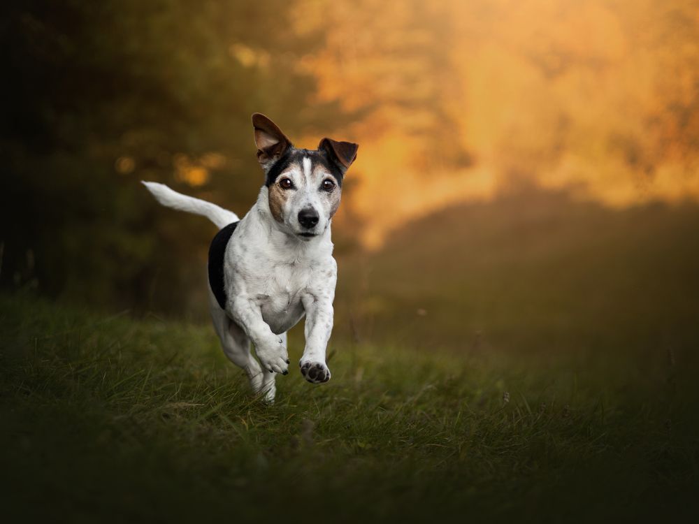 Photograph by Dorota Hnatová