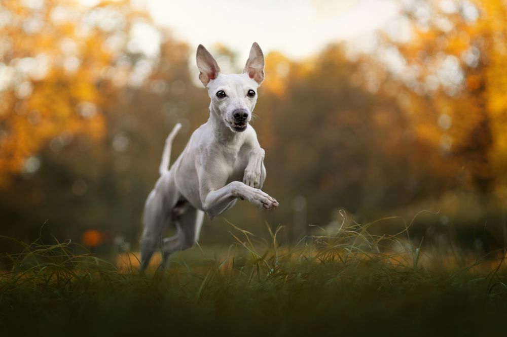 Photograph by Dorota Hnatová