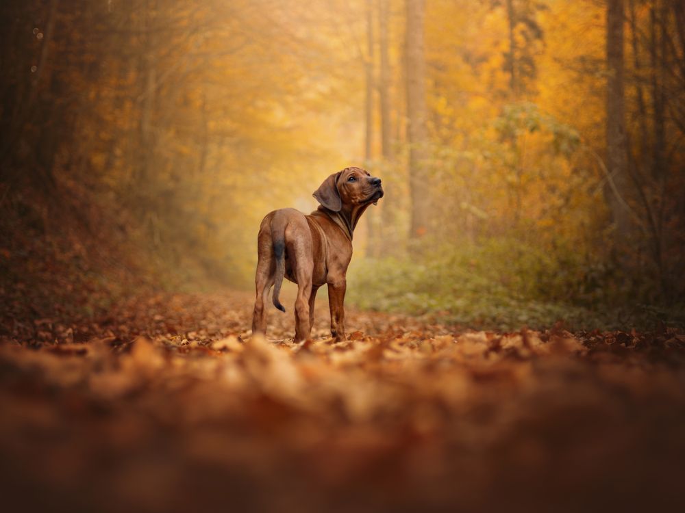 Photograph by Dorota Hnatová