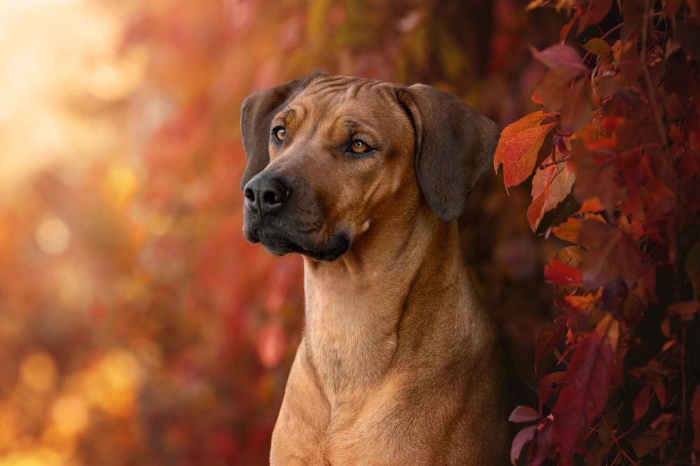 Photograph by Dorota Hnatová