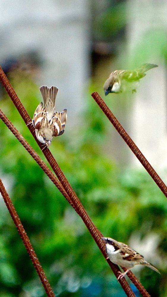 Фотография автора Washiful Majid