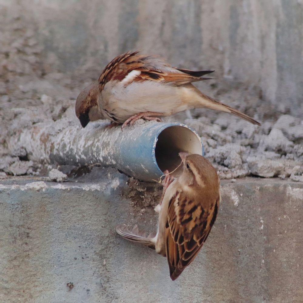 Фотография автора Washiful Majid