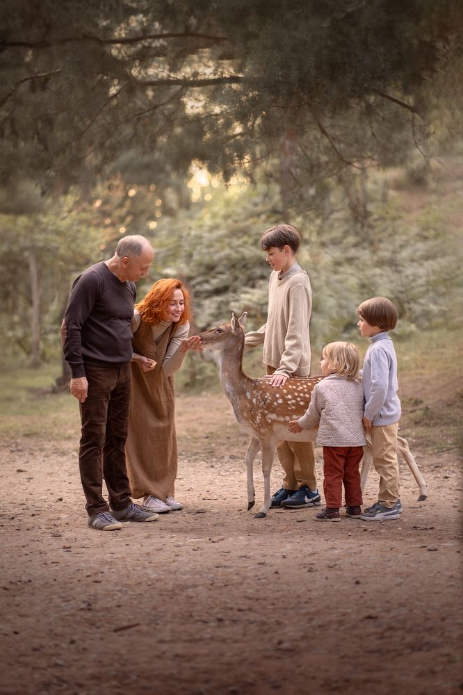 Photograph by Елена Мохонь