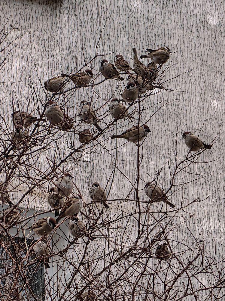 Фотография автора Ольга Панасюк