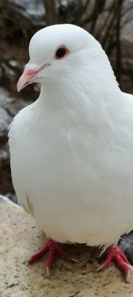 Photograph by Анастасия