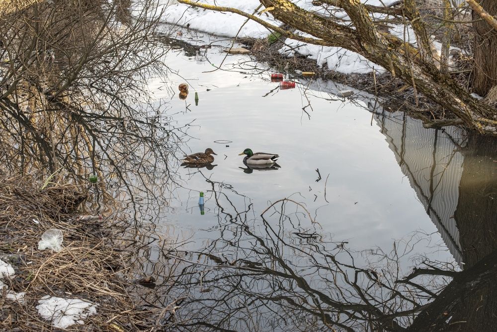 Photograph by Дария Ризниченко