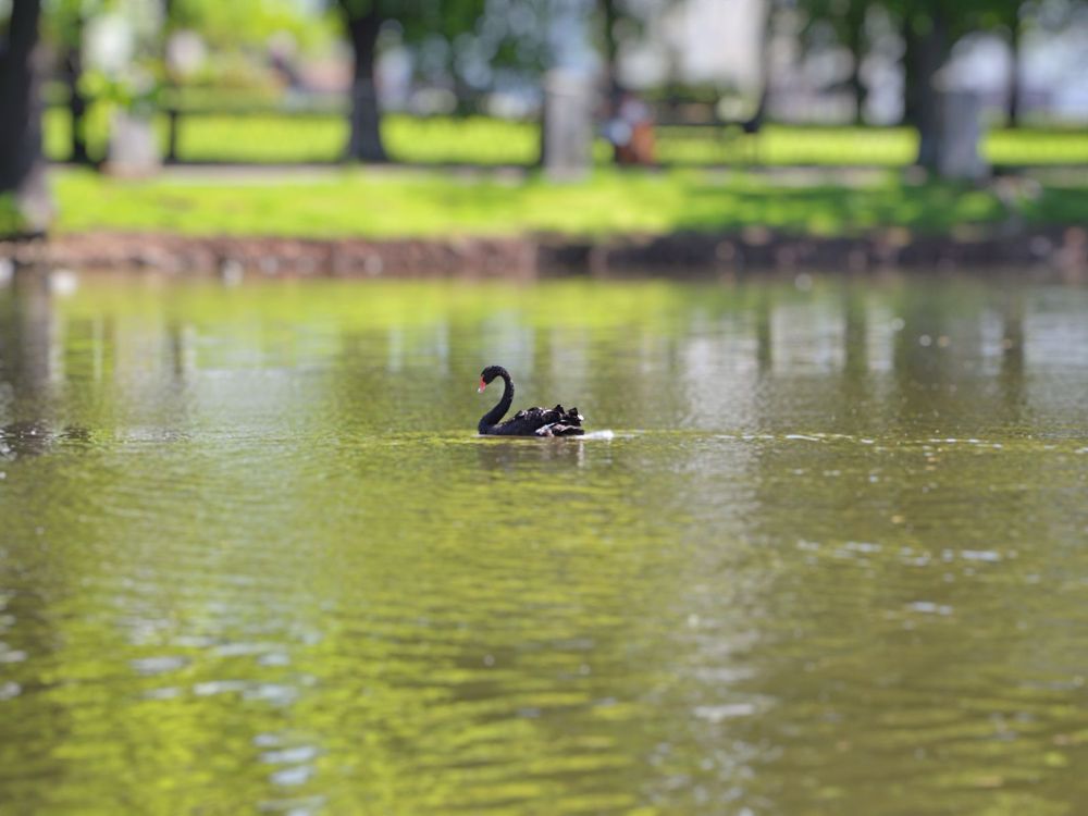 Photograph by Елена Чулюнина