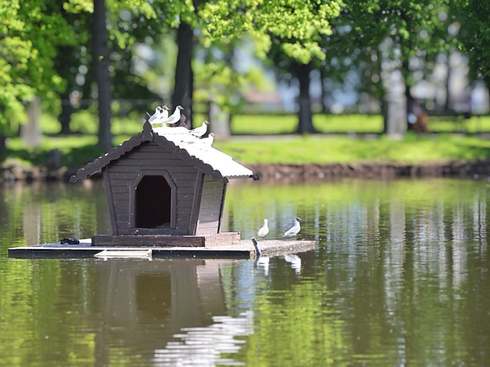 Photograph by Елена Чулюнина