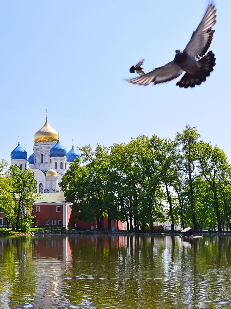 Photograph by Елена Чулюнина