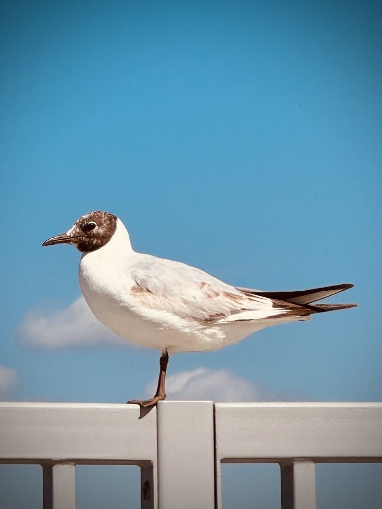 Photograph by Ксения Юртаева